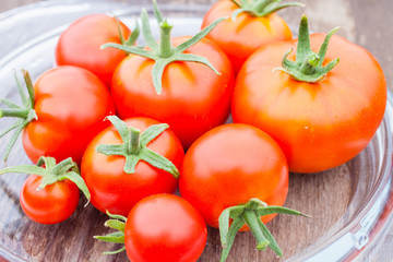 collected tomatoes in a garden, selective focus