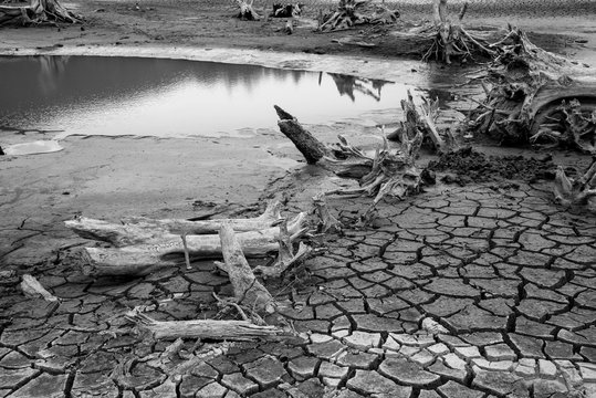 Cracked soil under reservoir caused by severe drought in Feb. 2016 in Chiang Mai, Thailand