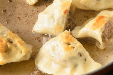 fried meat dumplings