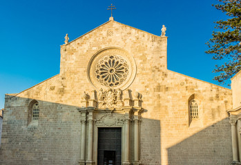 Fototapeta premium ancient seaside town on the coast of Apulia
