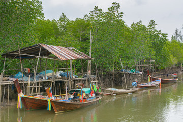 Naklejka na ściany i meble Long-tailed boat at mangrove forest