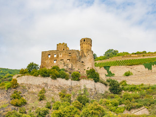Ehrenfels Castle in the Rhine Gorge, Germany