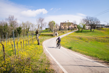 Naklejka premium Road between the Italian hills. Ideal routes for cyclists.