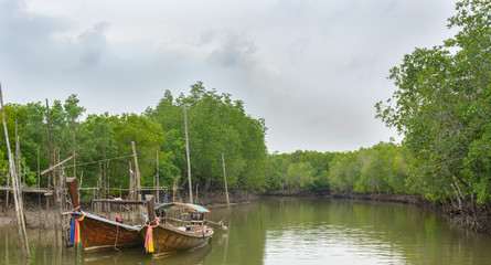 Fototapeta na wymiar Long-tailed boat at mangrove forest