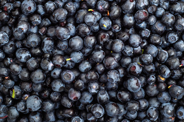 Blueberries background texture