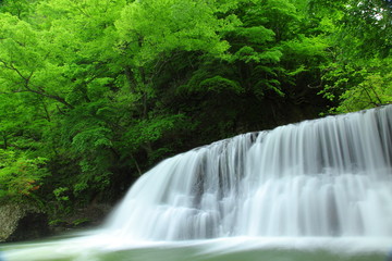 葛丸渓流　　一の滝