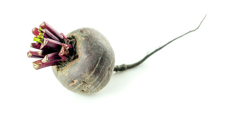 Deep purplish red colored beetroot isolated on white