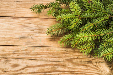 Green christmas tree on wooden boards