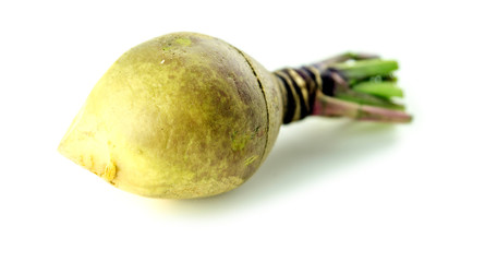 Macro of swede turnip studio isolated