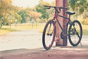 Vintage bicycle