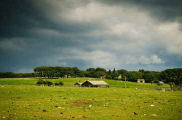 Green pasture land with wooden fences 
