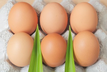 Eggs