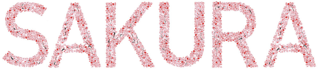 Watercolor Sakura lettering