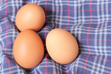 Eggs