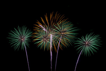 Fireworks light up the sky,Five Fireworks