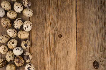 Obraz na płótnie Canvas quail eggs