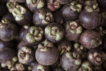 Mangosteen Style