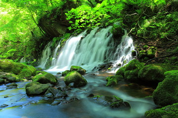 夏の元滝伏流水