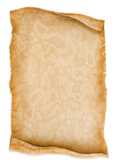 Parchment scroll paper