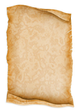 Parchment scroll paper