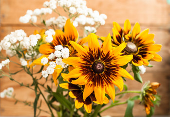 Obraz premium Rudbeckia flowers bouquet