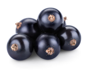 Black currants