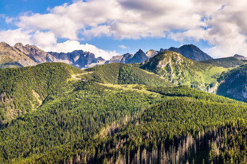 Tatra mountains, top of Nosal, Zakopane, Poland