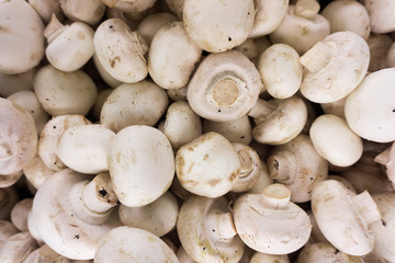 fresh champignons. Champignon mushrooms  background