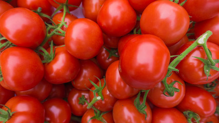 Red tomatoes.  tomato