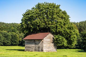 Obraz premium Old barn on rural meadow