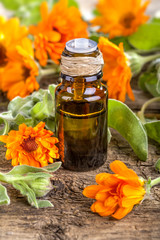 Essential oil made from marigold on rustic table