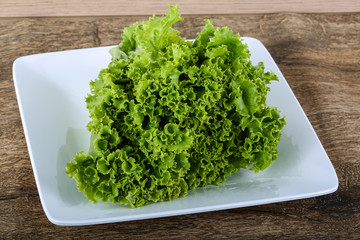 Fototapeta premium Salad leaves