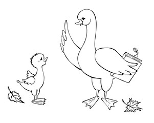 Father-goose is teaching his son.