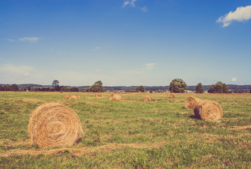 Hay bales on field