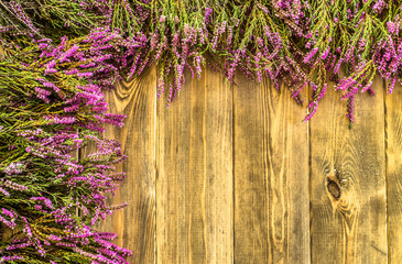 Heather flowers on rustic wood background