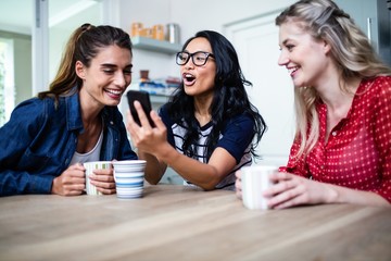 Happy young female friends using mobile phone