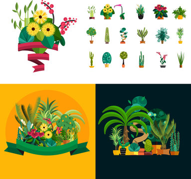 Garden plants, Potted flowers in the garden vector illustration