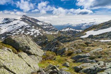Fototapeta na wymiar Landscape of norwegian mountain valley