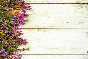 Flowers of heather in purple color on rustic wood background