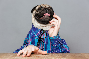 Pensive pug dog with man hands sitting and thinking