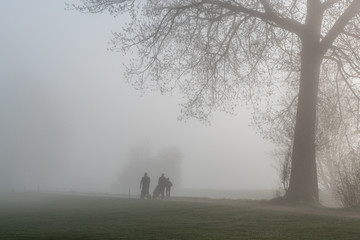 3 Golfspieler mit Caddy im Nebel mit grossem Baum © brunok1
