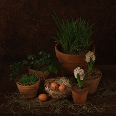 Rustic easter scene with flower and hay