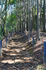 Promenade of Yamanaka Castle Park