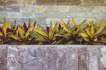 Stone Wall, Steps and Planter on Garden