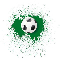 Sport Ball Icon
