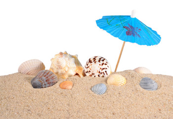 Fototapeta na wymiar Seashells in beach sand on a white