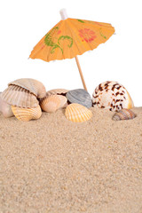 Seashells in beach sand on a white