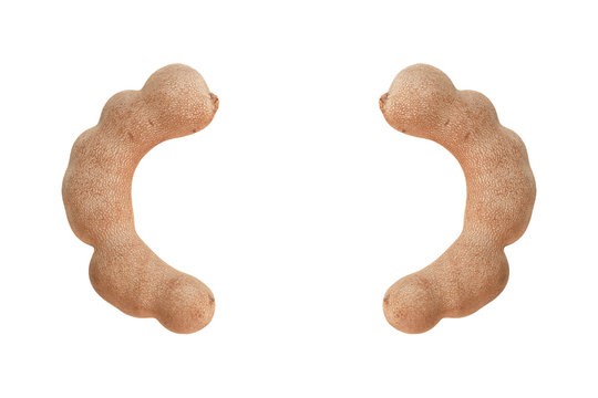 Tamarind isolated copy space on white background