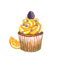Watercolor cupcake. Watercolor blackberry cupcake.