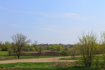 Rural spring landscape 